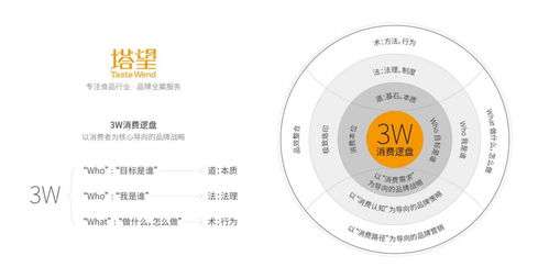 塔望核心業(yè)務(wù)介紹 食品品牌咨詢、品牌策劃與健康咨詢服務(wù)的專業(yè)體系